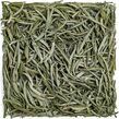 Darjeeling Silver Needle