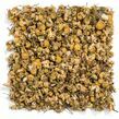 Egyptian Chamomile