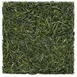 Gyokuro Premier