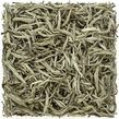 Jasmine Yin Zhen Silver Needle