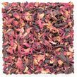 Luscious Hibiscus Rose