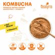 Kombucha Grapefruit Pre-Mix