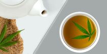 Hemp Tea