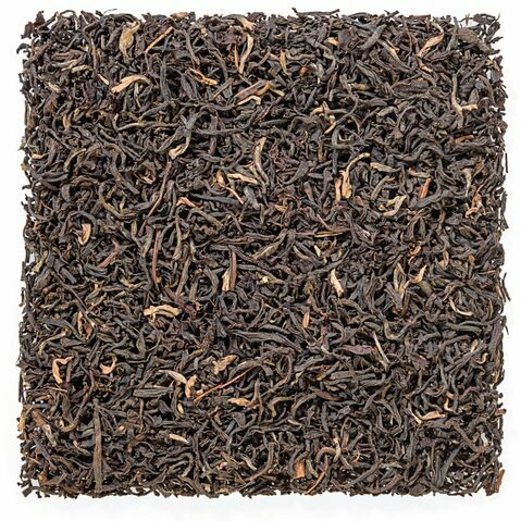Assam Harmony