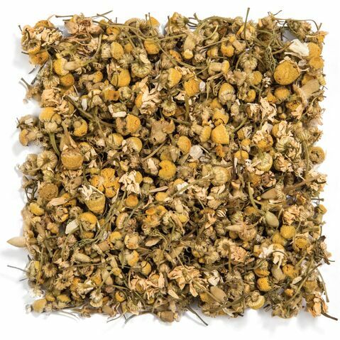 Egyptian Chamomile