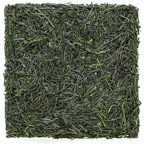 Gokujyo Uji Shincha Japanese