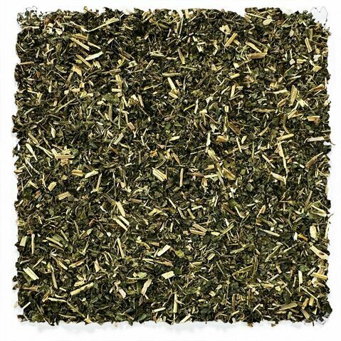 Nettle Leaf Tea