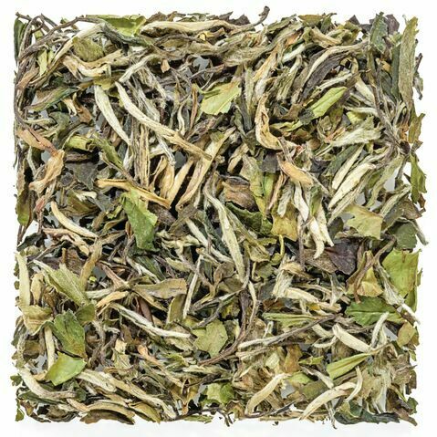 Pai Mu Tan White Peony