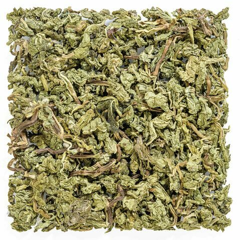 Peppermint Absolute