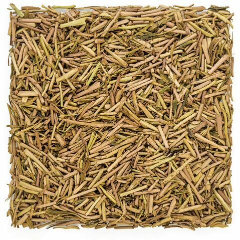 Superior Miyazaki Hojicha