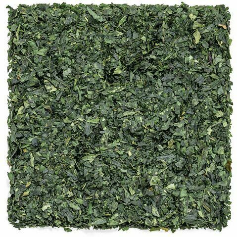 Tencha Mimoto Japanese "Limited Edition"