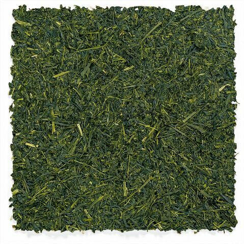 Chiran Sencha