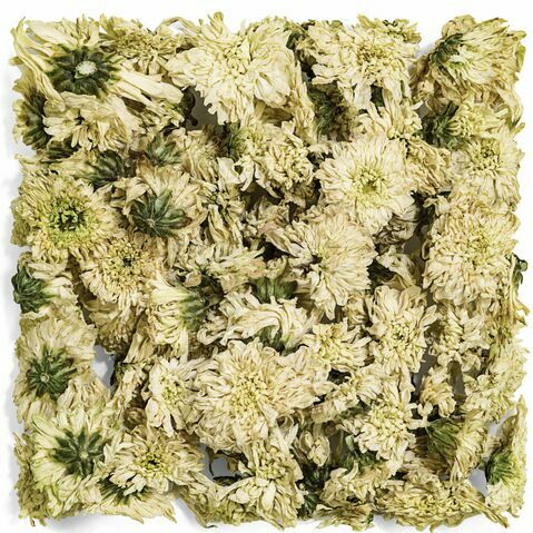 Chrysanthemum Tea
