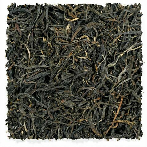 2020 Jingmai Mountain Raw Pu’erh