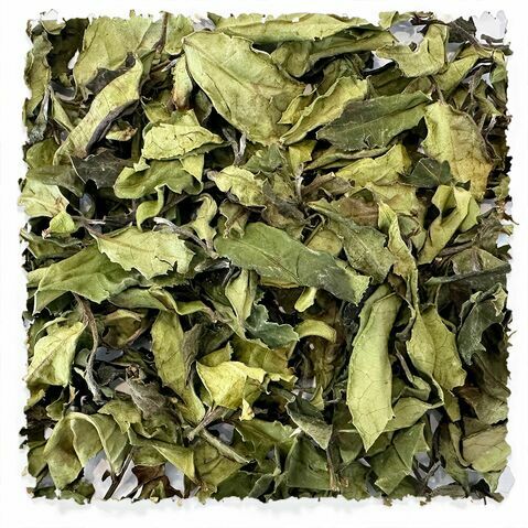 Jin Xuan White tea