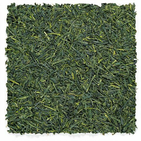 Uji Gyokuro | First Harvest Reserve