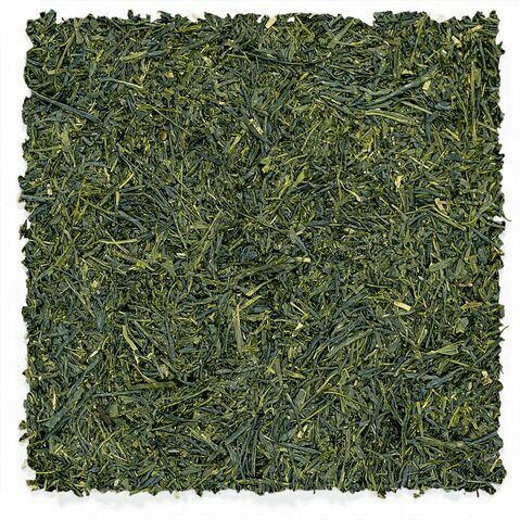 Yame Sencha | Fukuoka Reserve