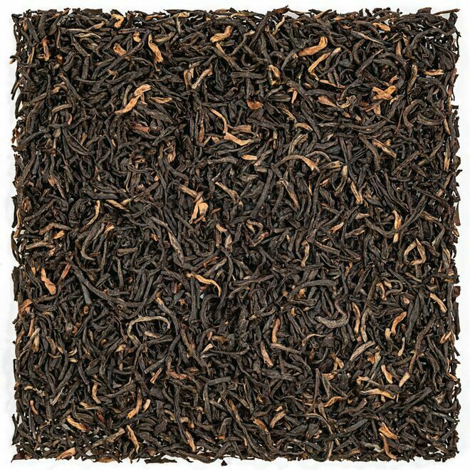 Assam Khagorijan Strong