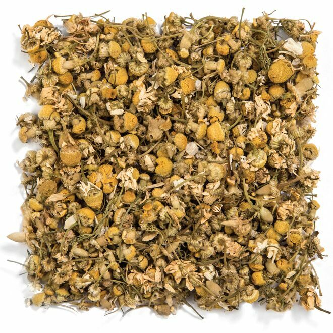 Egyptian Chamomile