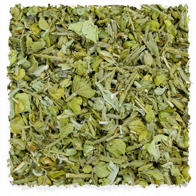 Greek Mountain Tea