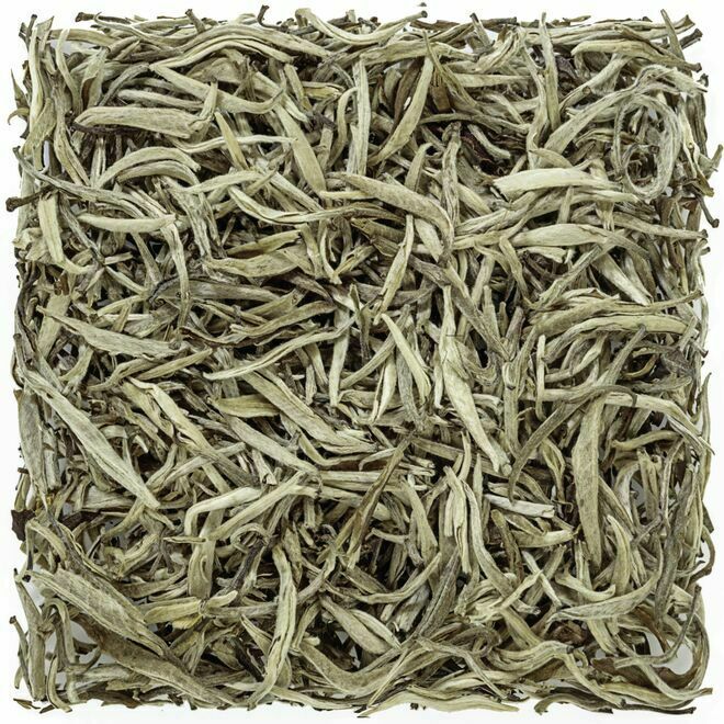 Jasmine Yin Zhen Silver Needle