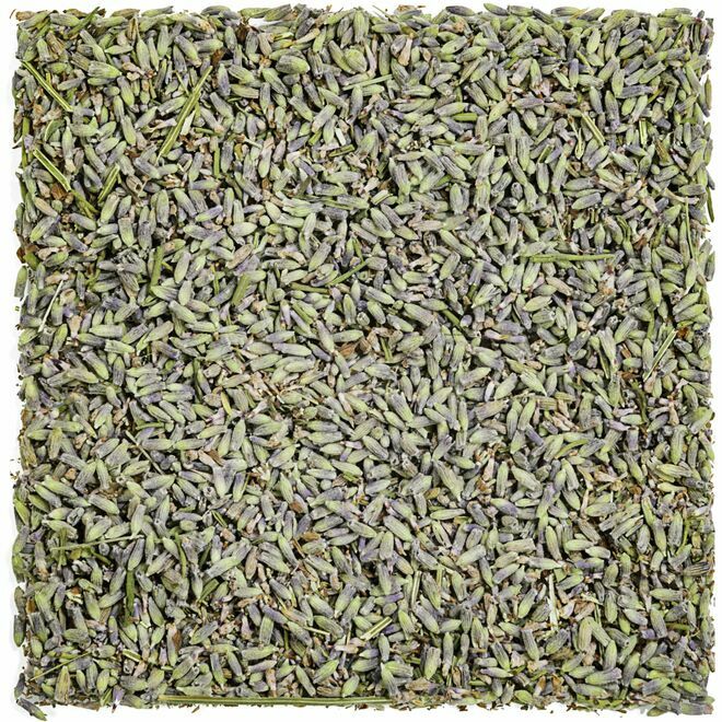 Lavender Flowers