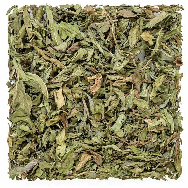 Pacific Coast Mint