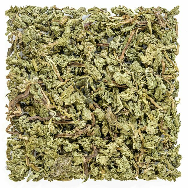 Peppermint Absolute