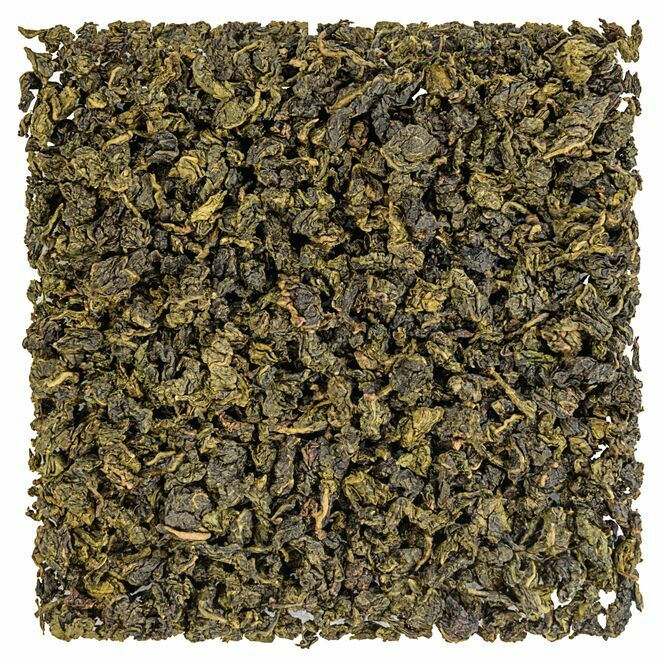 Quangzhou Milk Oolong