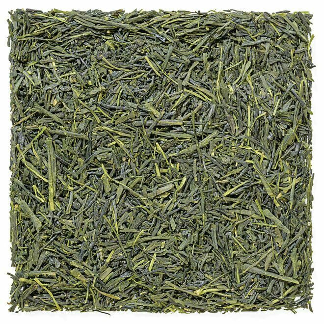 Sencha Tenkaichi