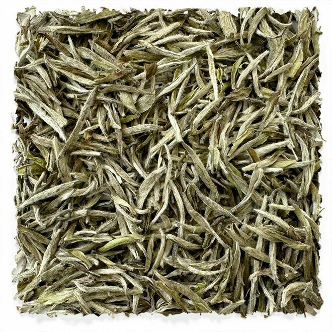 Imperial Fujian Silver White Needle