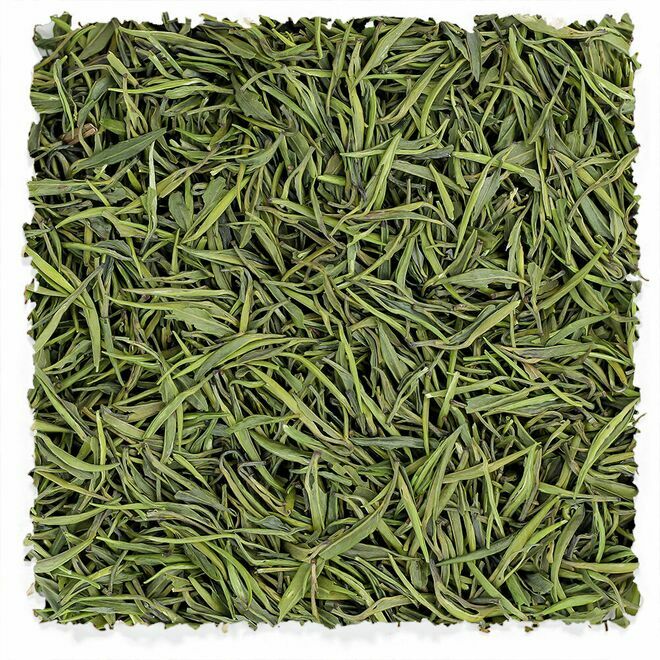 Zhu Ye Qing Bamboo