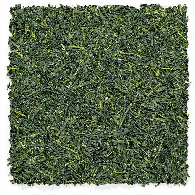 Uji Gyokuro | First Harvest Reserve