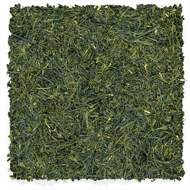 Yame Sencha | Fukuoka Reserve